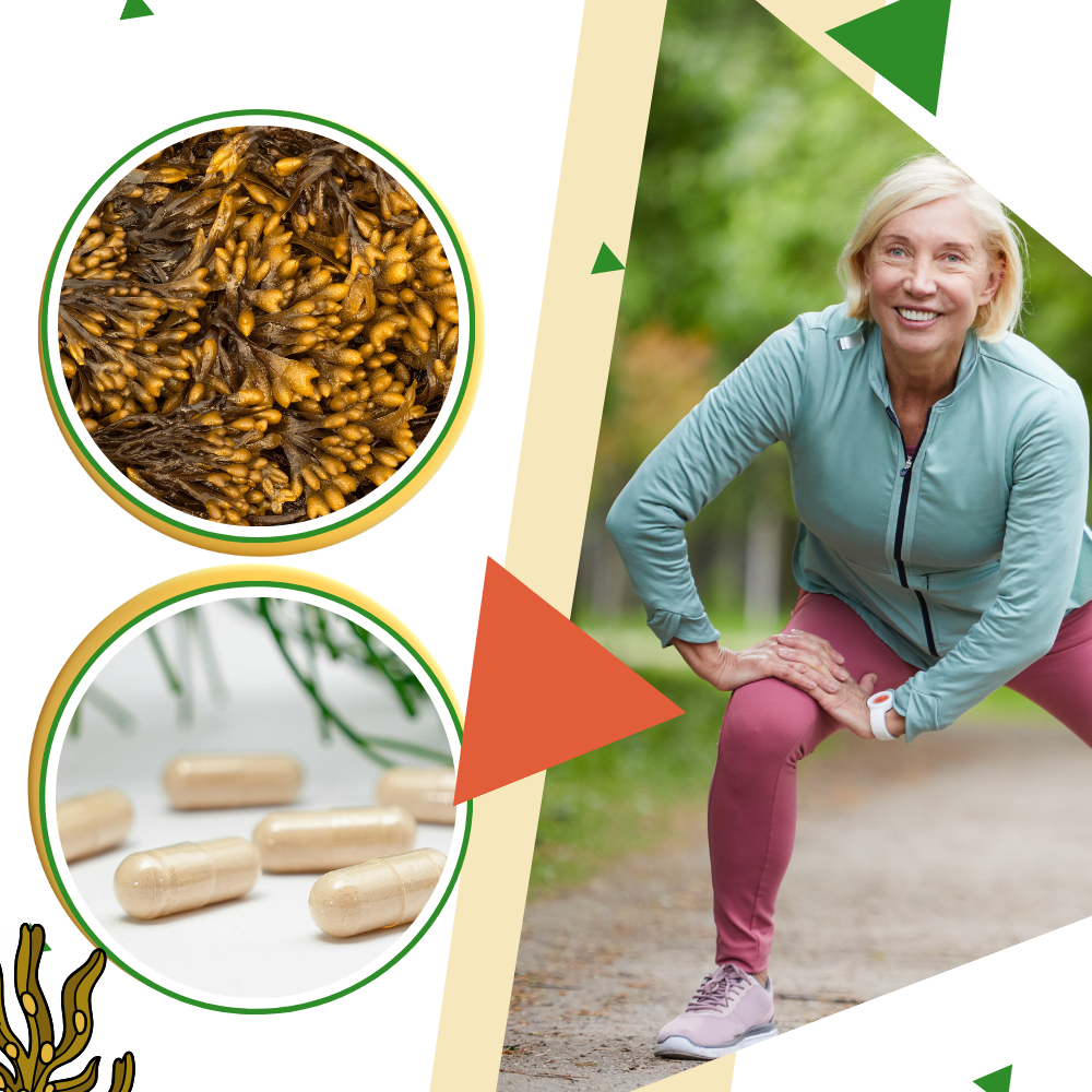 Complemento de algas marinhas da Maui Herbs, suplemento de fitness e nutrição, com algas verdes e marinhas em embalagem padrão.