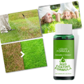 Spray revitalizante para gramado da marca Megawheels, produto para cuidados de jardins e pelouses.