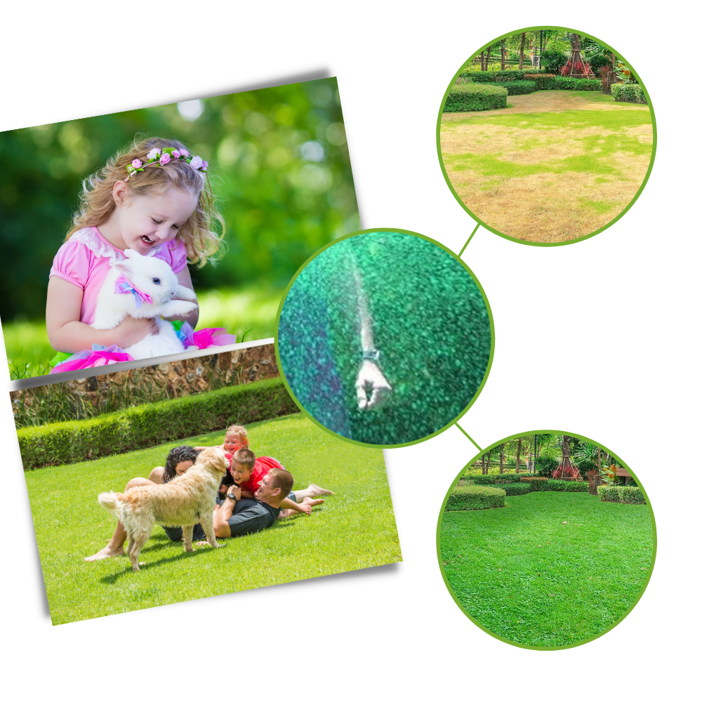 Spray revitalizante para gramado da Megawheels, promove crescimento saudável em jardins e áreas de lazer.