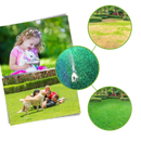 Spray revitalizante para gramado da Megawheels, promove crescimento saudável em jardins e áreas de lazer.
