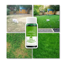 Spray revitalizante para gramado Megawheels, produto para cuidados de jardins e pelouses, com embalagem spray.