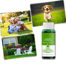 Spray revitalizante para grama, marca Megawheels, ideal para manter jardins e gramados bonitos e saudáveis.