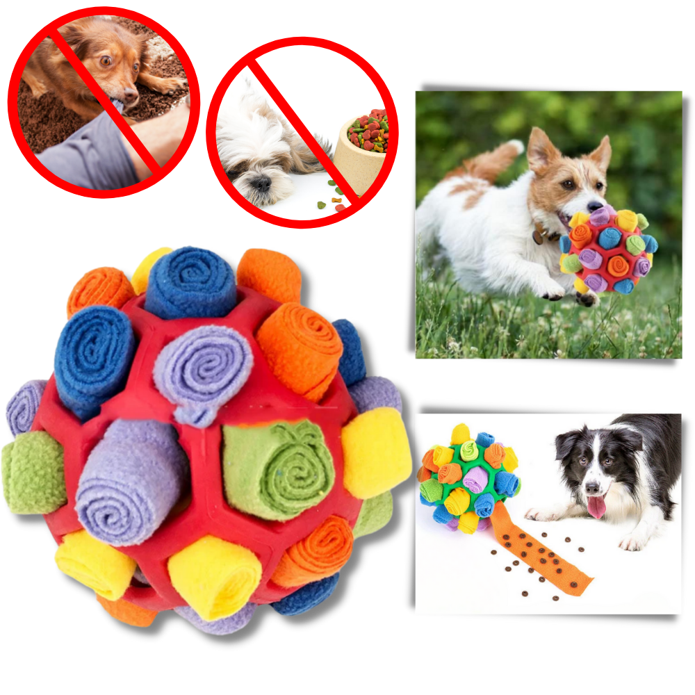 Bola de estímulo mental e de farejar para cães, acessório interativo da Hopday para estimular o faro e combater tédio.
