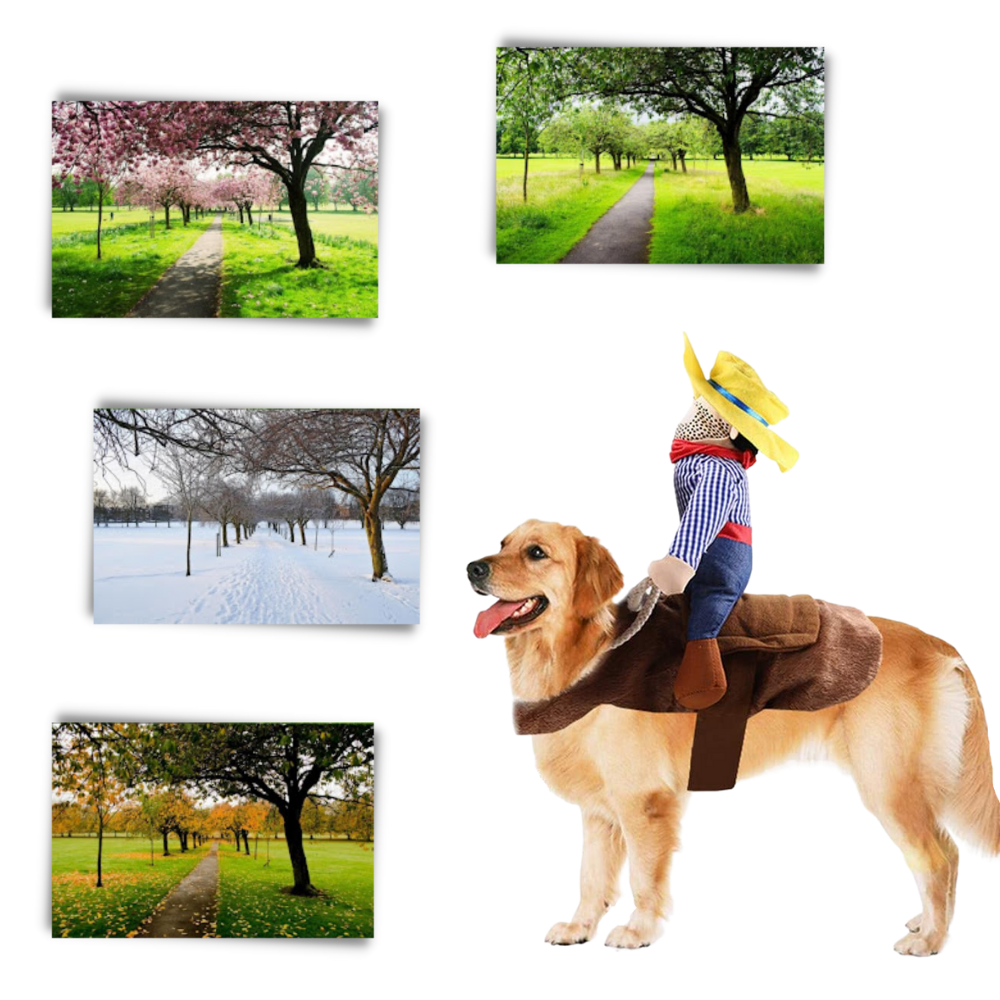 Acessório de fantasia de cowboy para cães da marca Midlee, com chapéu e colete, ideal para festas e ocasiões especiais.
