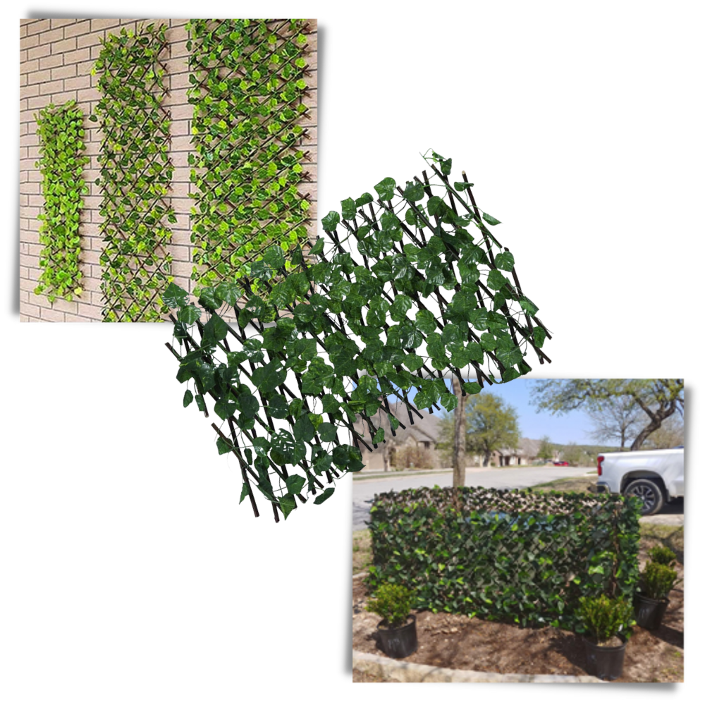 Painel de cerca vegetal artificial retrátil da Molecole, com acabamento realista para delimitação de espaço externo.
