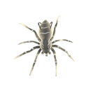 Isca de pesca em forma de aranha cinza com movimento natural, ideal para pesca esportiva, da marca Amazing Fashion Decoration