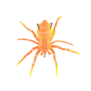 Iscas de pesca em forma de aranha laranja com movimentos naturais, marca Amazing Fashion Decoration, para pesca esportiva.