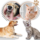 Gel de reparação bucal natural para animais de estimação, produto para higiene bucal da marca Kehuo, com textura fresca.