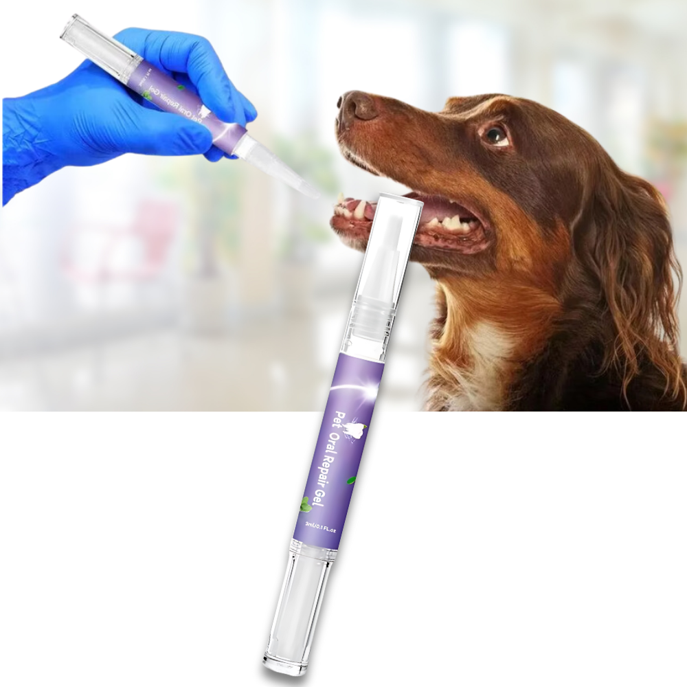 Gel de reparo bucal natural para animais de estimação, produto de higiene bucal da Kehuo, com textura transparente e aplicação fácil.