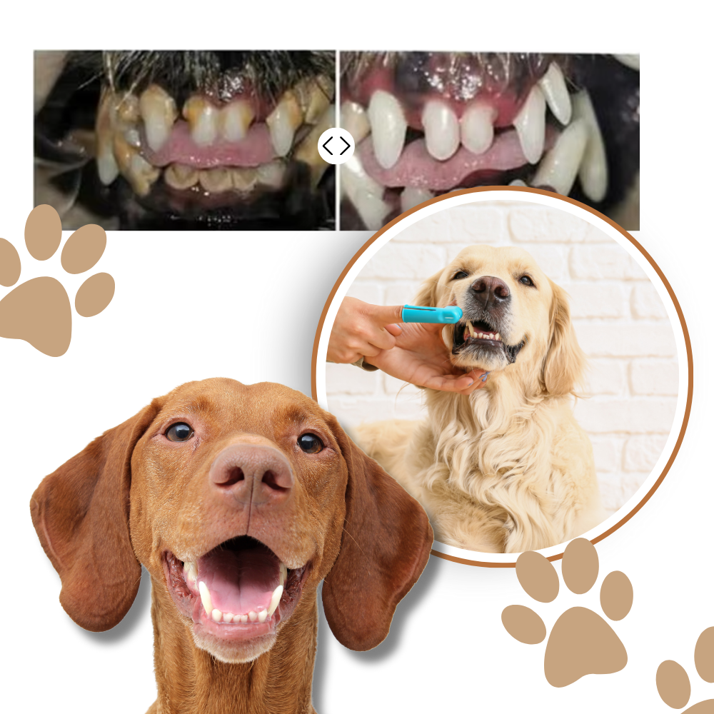 Gel de reparação bucal natural para animais de estimação, com ingredientes suaves para higiene bucal e remoção de placa.