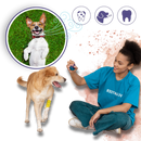 Gel de réparation bucal natural para animais de estimação Kehuo, com fórmula suave e eficaz para higiene oral de pets.