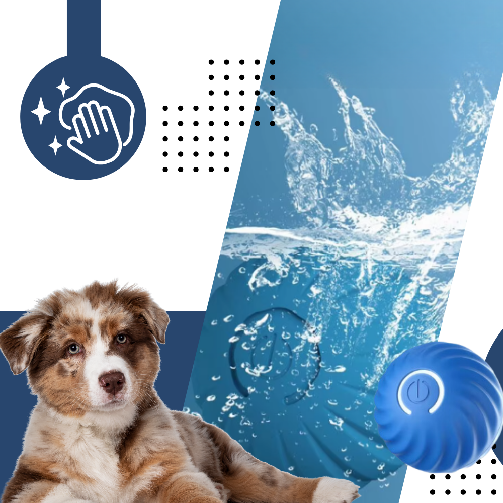Bola para cachorro da Meterk com função de evitar obstáculos, acessório para cães, em fundo branco, detalhes visíveis.