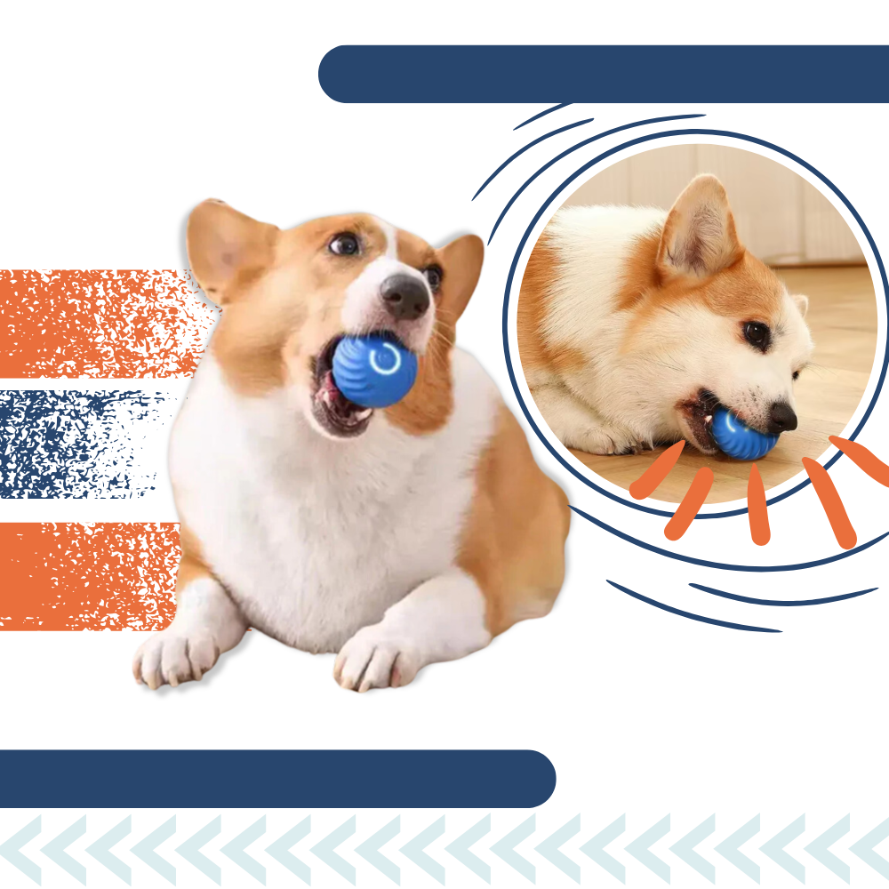 Bola resistente para cães com sistema de evitamento de obstáculos, acessório para treinamento e diversão com a marca Meterk