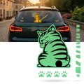 Autocollant pour essuie-glace avec chat espiègle, décoration de véhicules de la marque Ozerty France, vert clair.