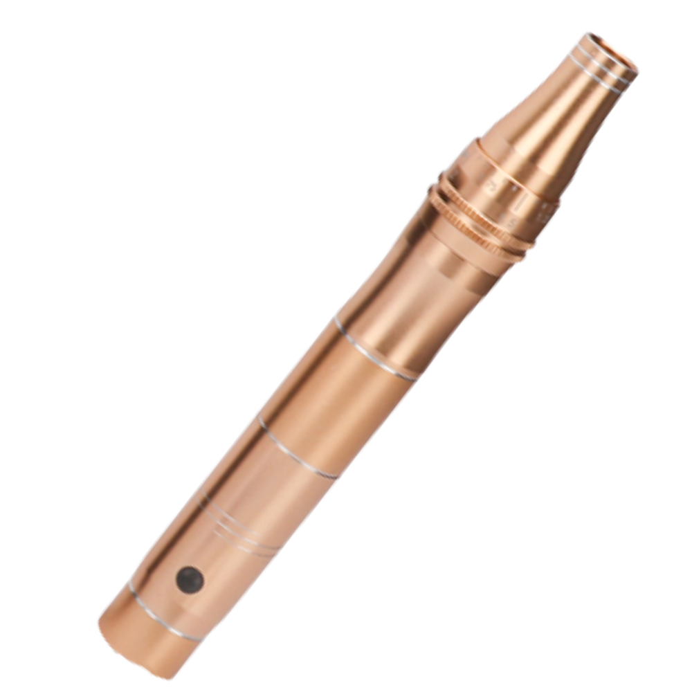 Stylo Dermique de Micro-aiguilletage da Pakainn, dispositivo de cosméticos para tratamentos faciais, com ponta de microagulhas.