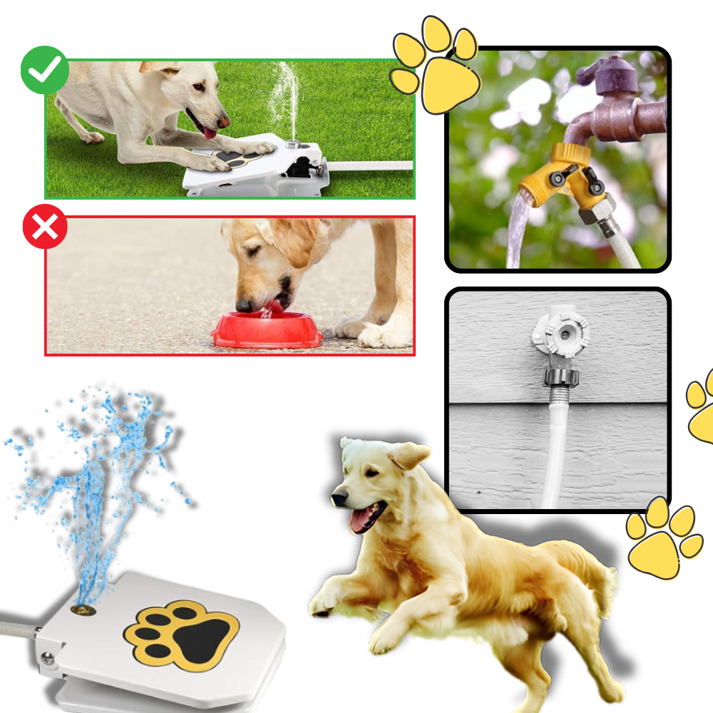 Fonte de água para cães ativada pela pata, acessório Aomeily, com bacia e fluxo de água para manter os pets hidratados