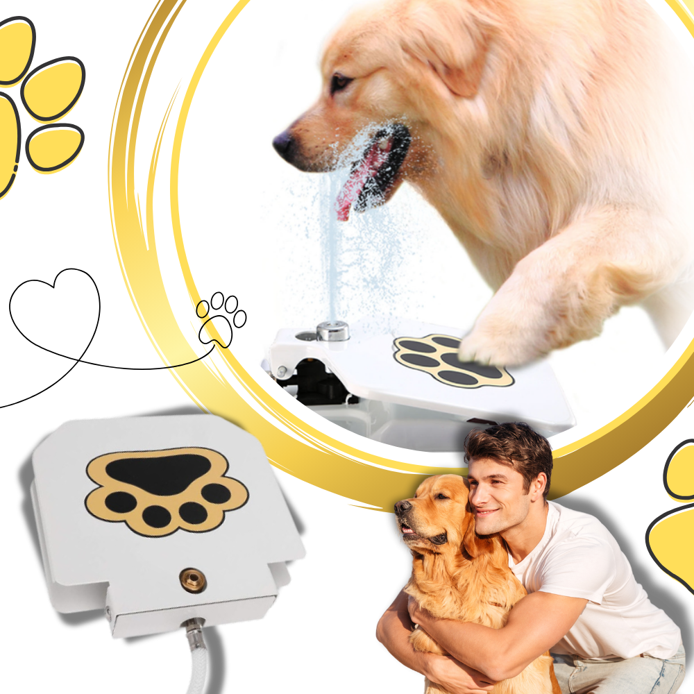 Fonte de água para cachorro Aomeily, acionada pela pata, com fluxo de água contínuo para hidratação fácil.