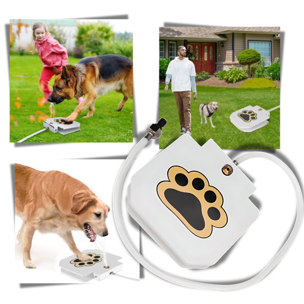 Fonte de água para cães Aomeily ativada pela pata, com fluxo de água acessível e fácil de usar para pets.