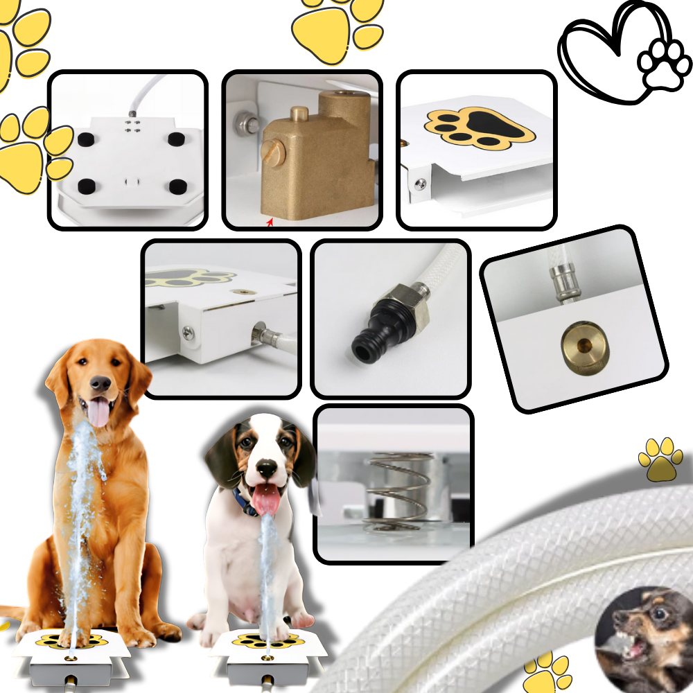 Fonte de água para cães da Aomeily ativada pela pata, com design fácil de usar e fluxo de água para manter cães hidratados.