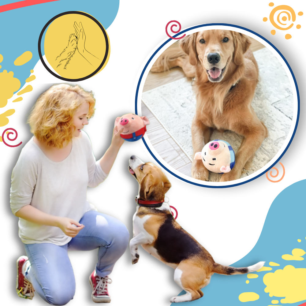 Brinquedo interativo para cães Homyl com sensor de pulo, brinquedo acessório para cães, diversão sem complicações