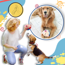 Brinquedo interativo para cães Homyl com sensor de pulo, brinquedo acessório para cães, diversão sem complicações