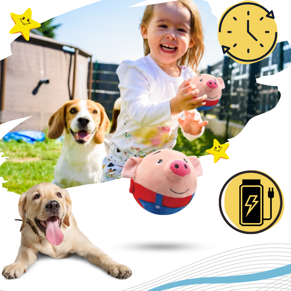 Brinquedo interativo para cães Homyl com sensor de pulo, recarregável e resistente, ideal para estimular e divertir seu cachorro.