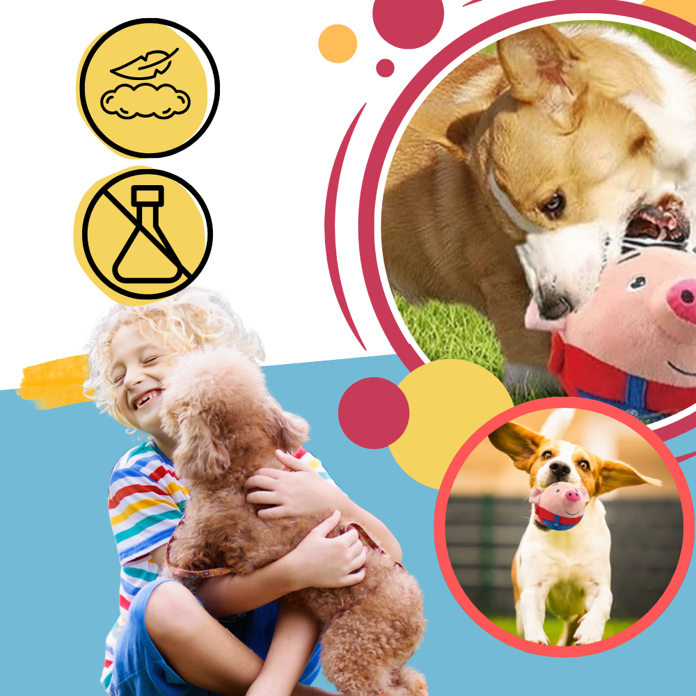 Brinquedo interativo para cães Homyl com sensor de pulo, feito de material seguro, ideal para estimular e divertir o seu cachorro.