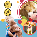 Brinquedo interativo para cães Homyl com sensor de pulo, feito de material seguro, ideal para estimular e divertir o seu cachorro.