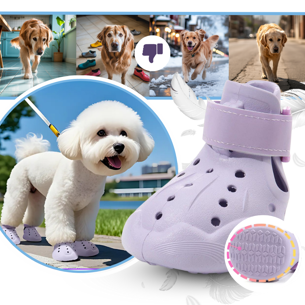 Botinas de proteção para patas de cachorro da marca Sodial, feitas para proteger as patas durante passeios.