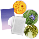 Pack de 36 patches invisíveis para acne da marca Personal Care Kit For Women, com embalagens de cosméticos para cuidados faciais.