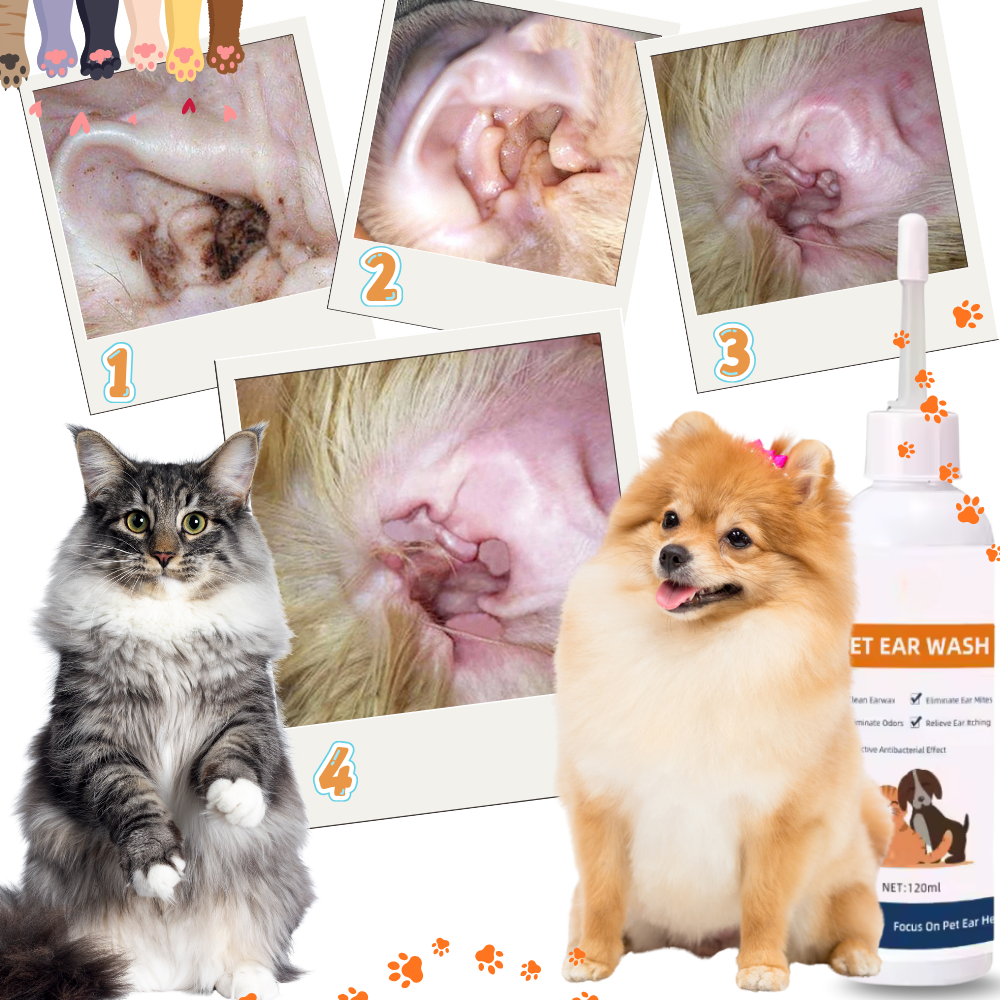 Produto de limpeza e desodorização para ouvidos de animais de estimação, de marca Elaimei, com material de toilettagem para pets.