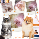 Produto de limpeza e desodorização para ouvidos de animais de estimação, de marca Elaimei, com material de toilettagem para pets.