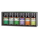 Conjunto de 6 óleos essenciais para massagem e relaxamento da marca Plant Therapy, em frascos pequenos e coloridos.