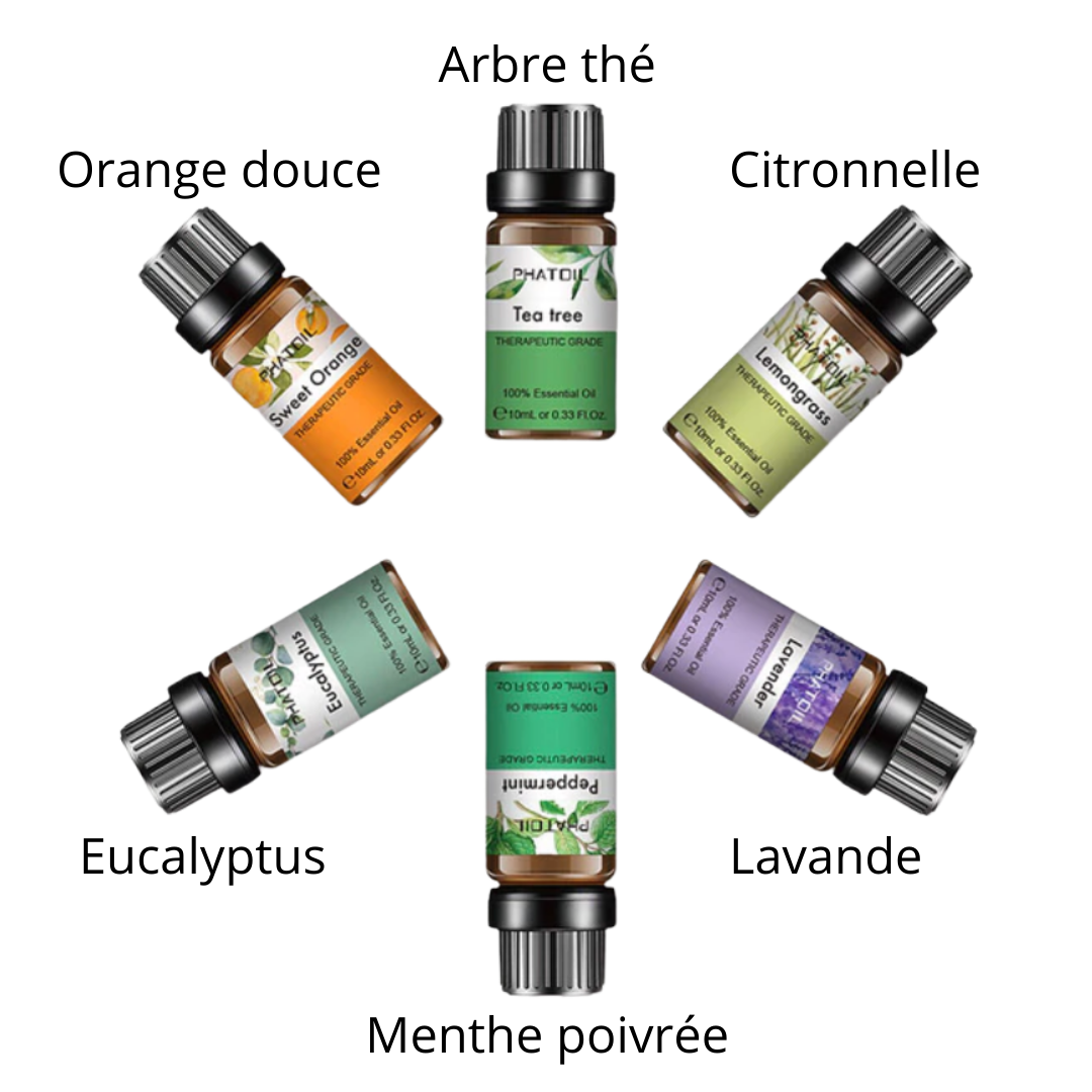 Conjunto de 6 óleos essenciais Plant Therapy para massagem e relaxamento, com frascos em destaque sobre fundo neutro.