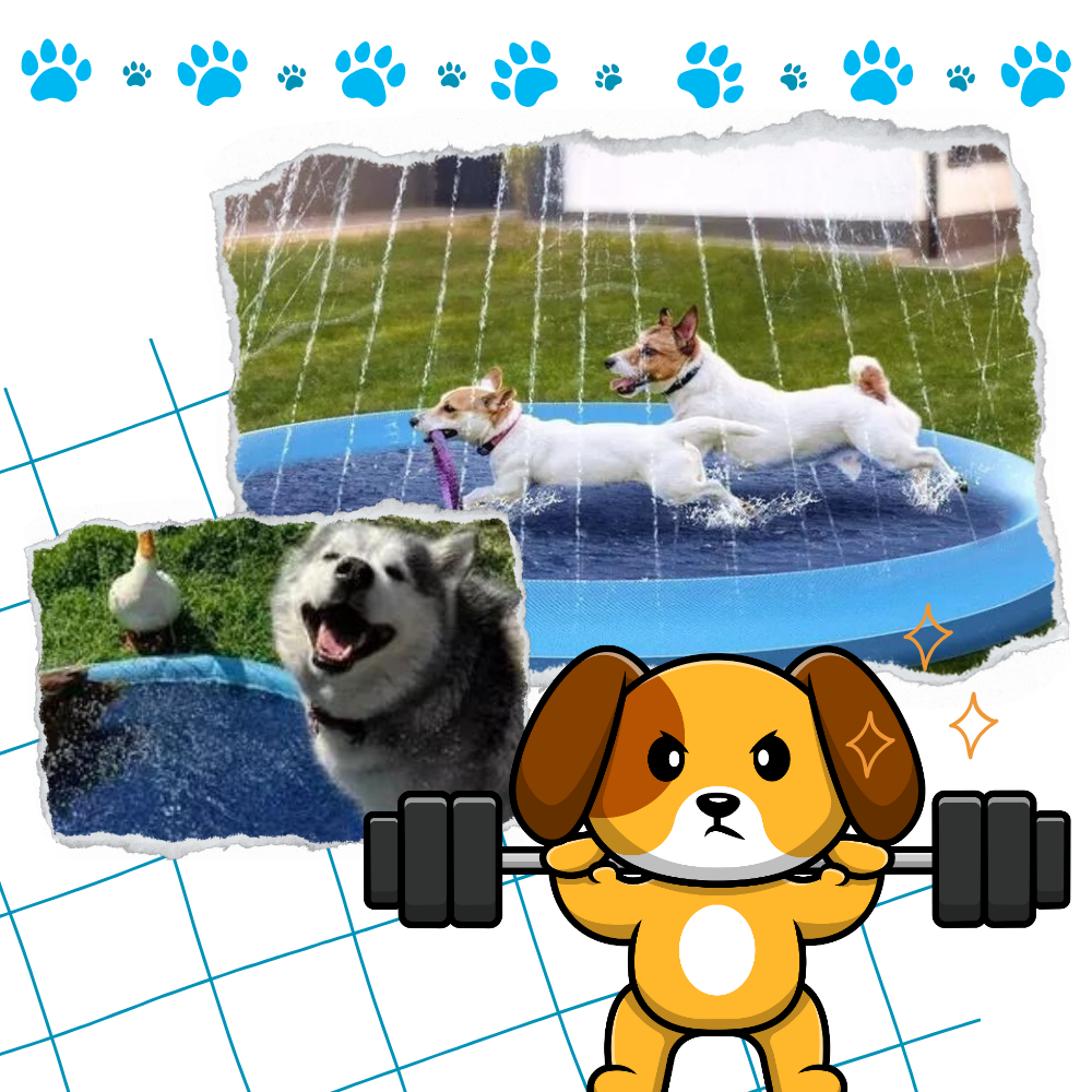 Pataugeoire portátil para cães Lingke, acessório para diversão aquática e reforço de exercícios ao ar livre.