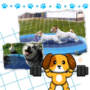 Pataugeoire portátil para cães Lingke, acessório para diversão aquática e reforço de exercícios ao ar livre.