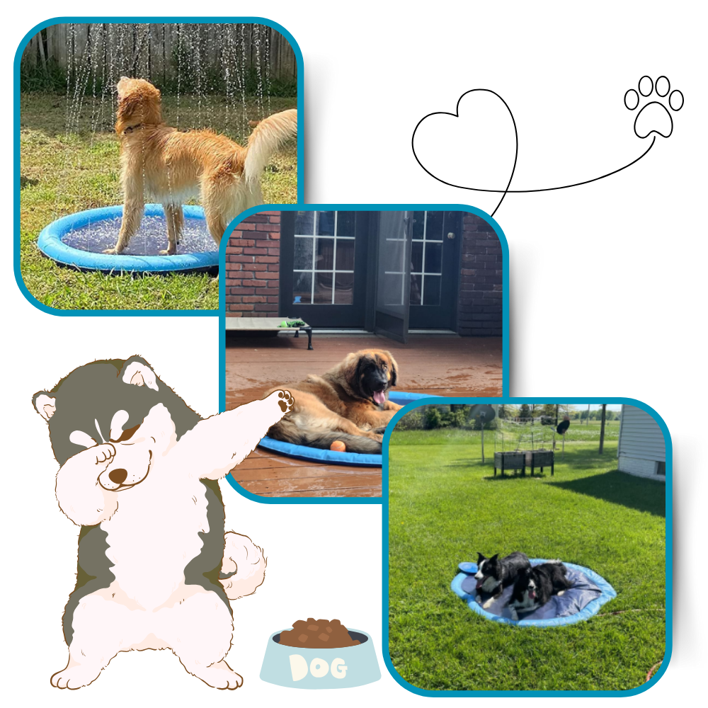 Pataugeoire portátil para cães Lingke, acessório para diversão ao ar livre com espaço para banho e brincadeiras.
