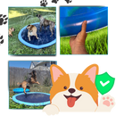 Pataugeira portátil para cães Lingke, acessório para diversão aquática ao ar livre com superfície segura para cães brincarem.