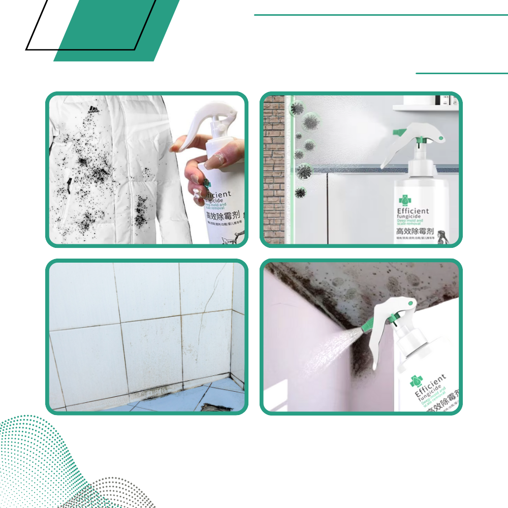 Spray potente para eliminar mofo da parede, produto de limpeza doméstica da marca Rkzdsr Wall Mold Remover