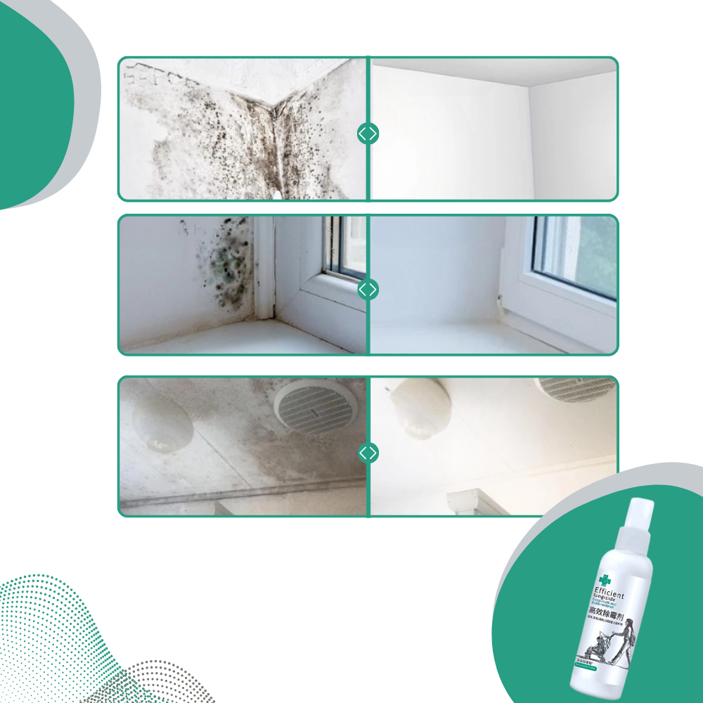 Spray potente contra mofo da Rkzdsr Wall Mold Remover para limpeza eficaz de superfícies domésticas.