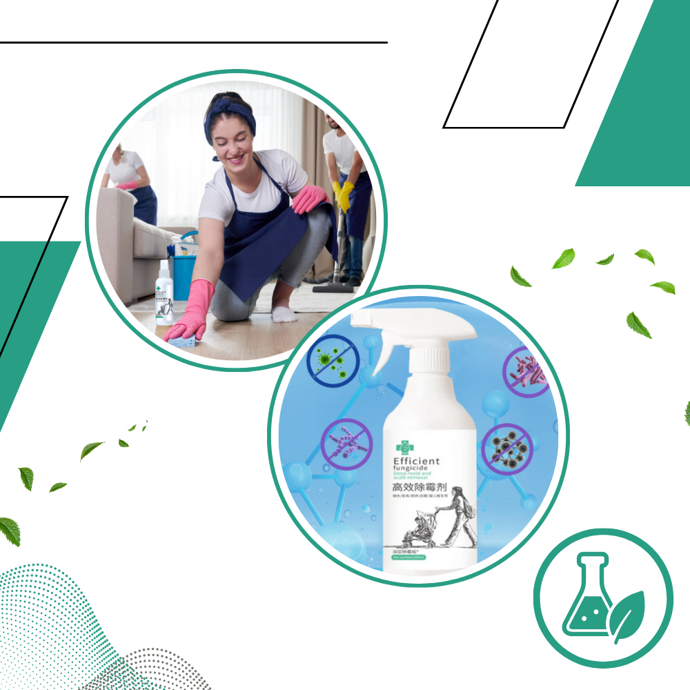 Spray potente contra mofo da Rkzdsr Wall Mold Remover, limpador de casa para eliminar fungos de forma eficaz.
