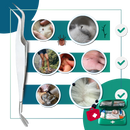 Ferramenta de extração de carrapatos de precisão da Shelter para tratamentos anti-pulgas e anti-tiques, ferramenta de remoção segura.