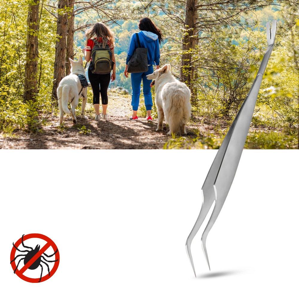 Pinça de precisão da Shelter para remoção de carrapatos e pulgas, ferramenta de tratamento anti-puls e anti-tiques.
