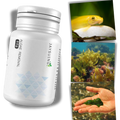 Acessório preventivo para aquário Youvogue, produto anti-algas para manutenção de aquários de peixes.