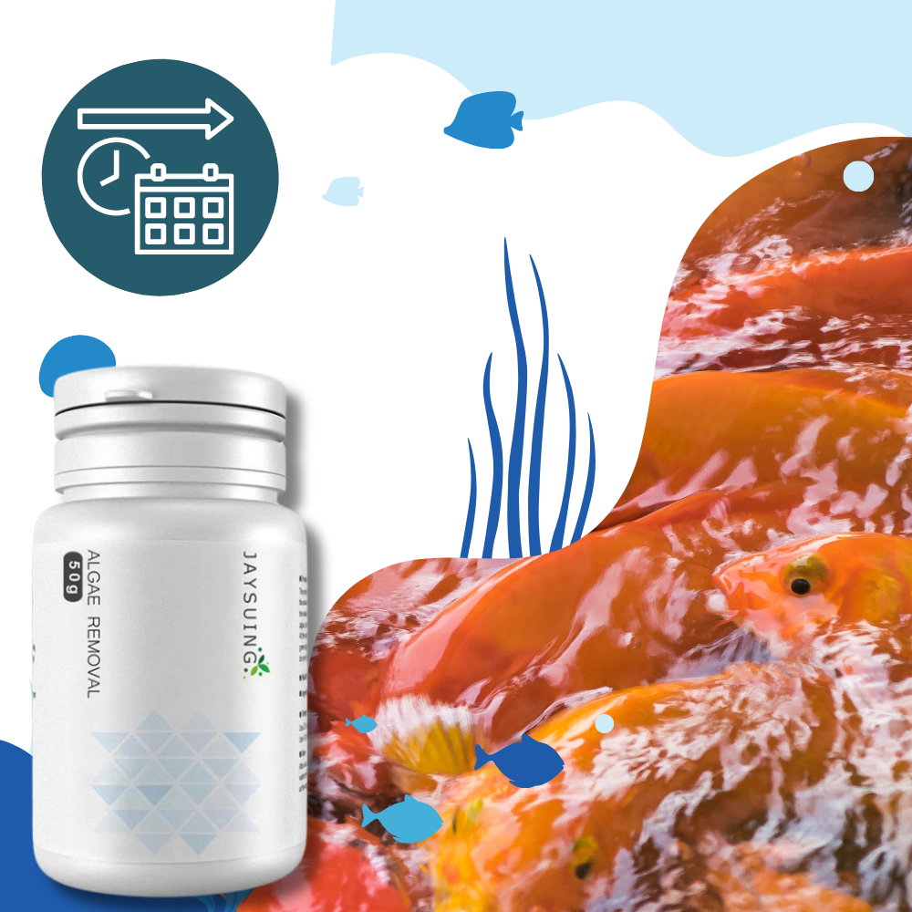 Acessório preventivo para aquário da Youvogue, produto anti-algas de longo prazo para manutenção de ambientes aquáticos limpos.