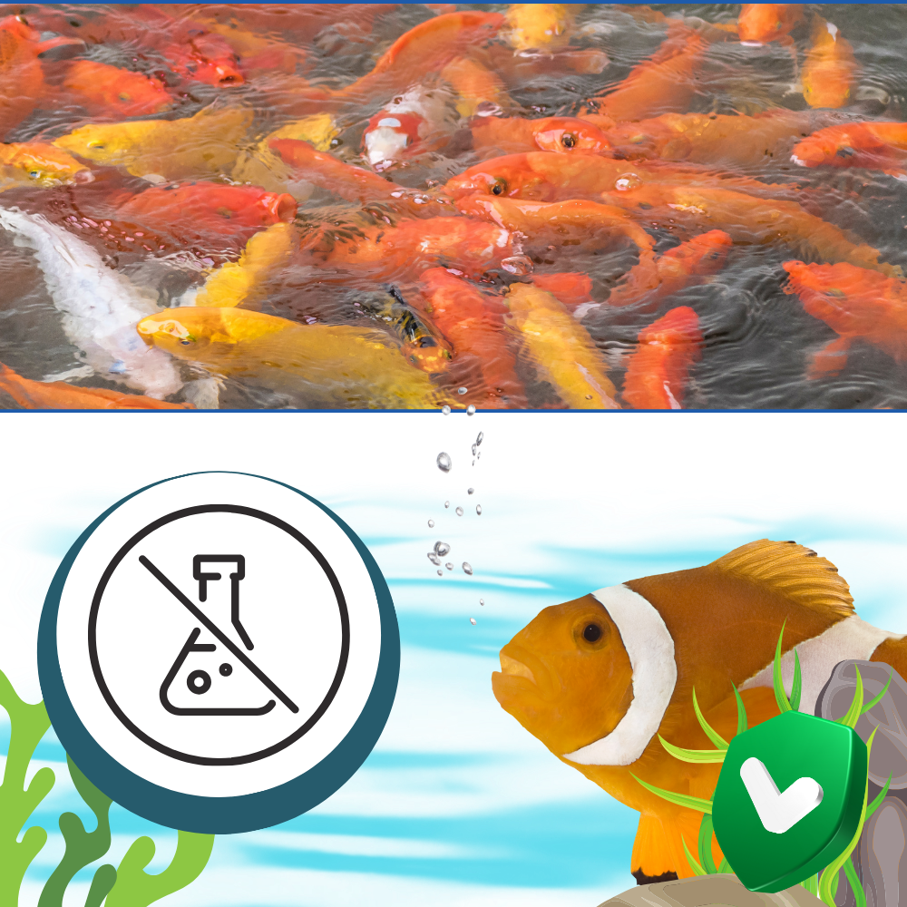 Solução preventiva anti-algas não tóxica para aquários, acessório para peixes da marca Youvogue, visível na embalagem do produto