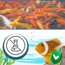 Solução preventiva anti-algas não tóxica para aquários, acessório para peixes da marca Youvogue, visível na embalagem do produto