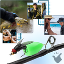 Iscas realistas para pesca com mosca da Enjoysea, detalhes que imitam insetos naturais usados na pesca esportiva