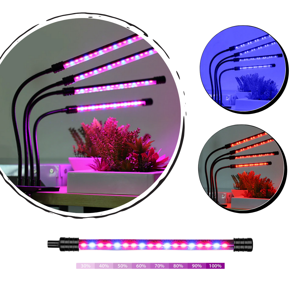 Quatro lâmpadas LED de crescimento horticole Ruanq para plantas de interior e exterior, luz branca brilhante e eficiente