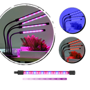 Quatro lâmpadas LED de crescimento horticole Ruanq para plantas de interior e exterior, luz branca brilhante e eficiente